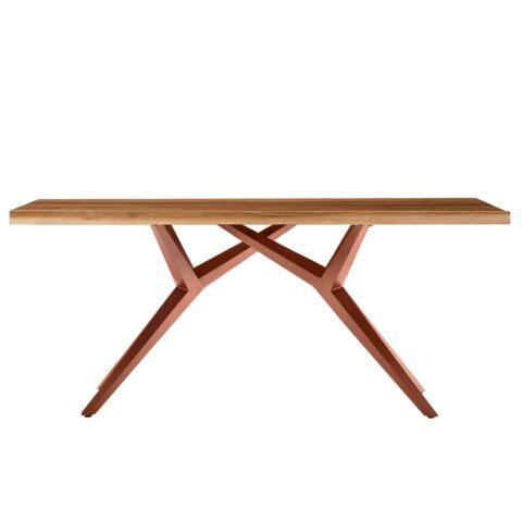 Industriële Eettafel met Massief Houten Blad 220 cm
