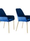 Eetkamerstoel set van 2 blauw fluweel